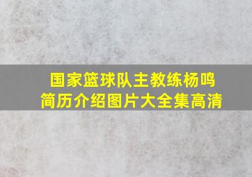 国家篮球队主教练杨鸣简历介绍图片大全集高清