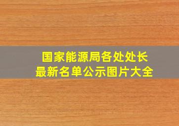 国家能源局各处处长最新名单公示图片大全