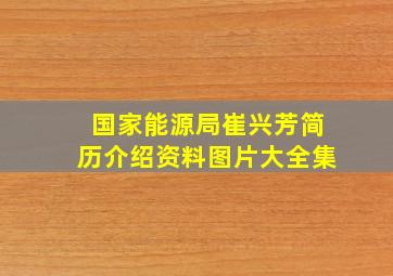 国家能源局崔兴芳简历介绍资料图片大全集