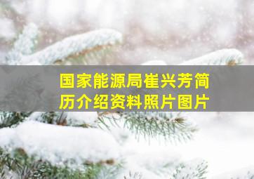 国家能源局崔兴芳简历介绍资料照片图片