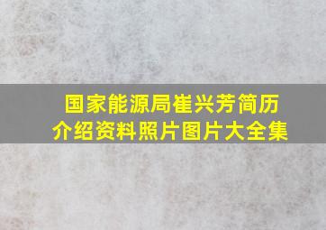 国家能源局崔兴芳简历介绍资料照片图片大全集