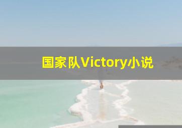 国家队Victory小说