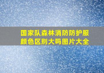 国家队森林消防防护服颜色区别大吗图片大全