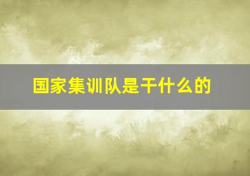 国家集训队是干什么的