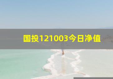 国投121003今日净值