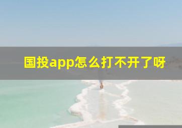 国投app怎么打不开了呀