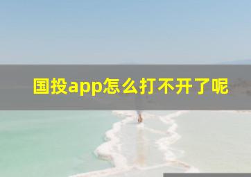 国投app怎么打不开了呢