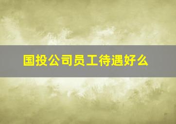 国投公司员工待遇好么