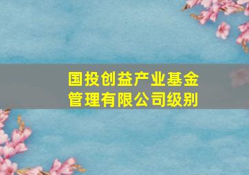 国投创益产业基金管理有限公司级别