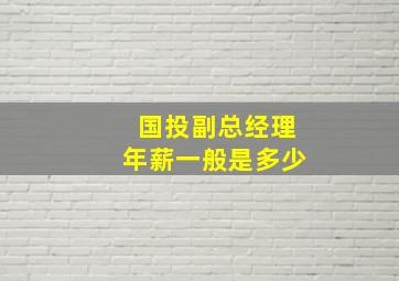 国投副总经理年薪一般是多少