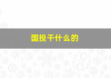 国投干什么的