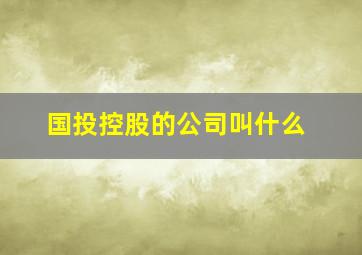 国投控股的公司叫什么