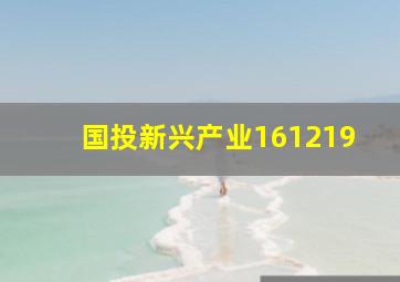 国投新兴产业161219