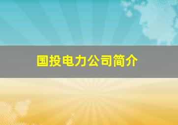 国投电力公司简介