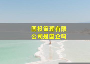 国投管理有限公司是国企吗