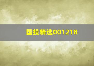 国投精选001218