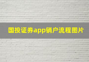 国投证券app销户流程图片