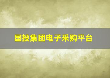 国投集团电子釆购平台