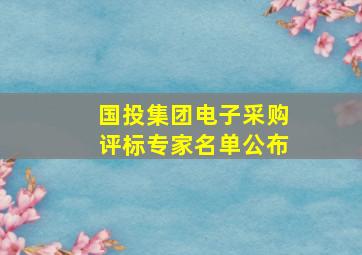 国投集团电子采购评标专家名单公布