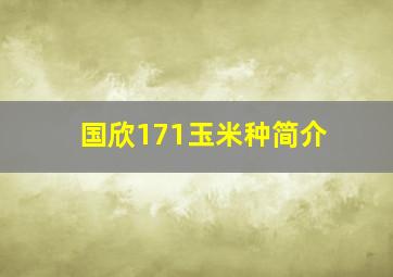 国欣171玉米种简介