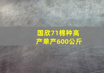 国欣71棉种高产单产600公斤