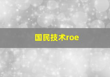 国民技术roe