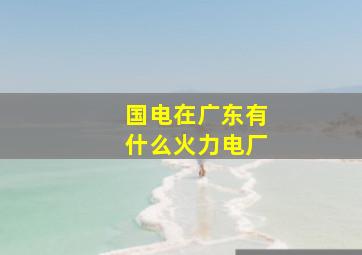 国电在广东有什么火力电厂