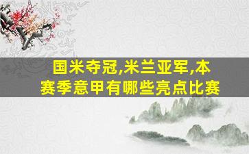 国米夺冠,米兰亚军,本赛季意甲有哪些亮点比赛