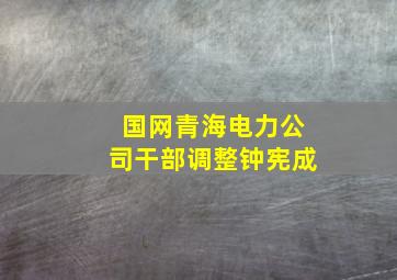 国网青海电力公司干部调整钟宪成