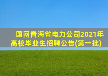 国网青海省电力公司2021年高校毕业生招聘公告(第一批)