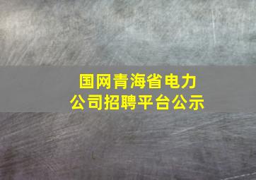 国网青海省电力公司招聘平台公示