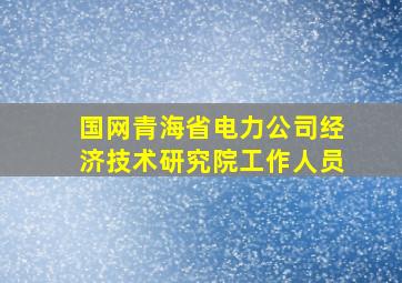 国网青海省电力公司经济技术研究院工作人员