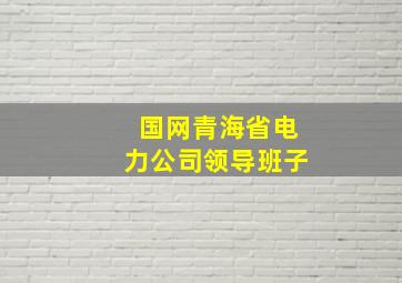 国网青海省电力公司领导班子