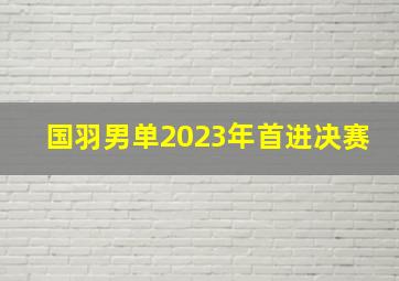 国羽男单2023年首进决赛