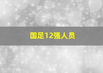 国足12强人员