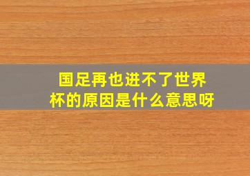 国足再也进不了世界杯的原因是什么意思呀