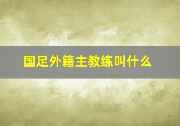 国足外籍主教练叫什么