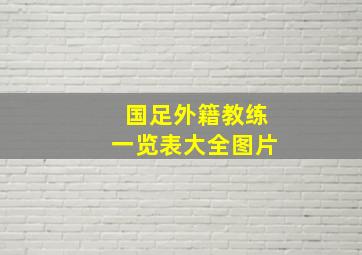 国足外籍教练一览表大全图片