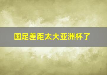 国足差距太大亚洲杯了