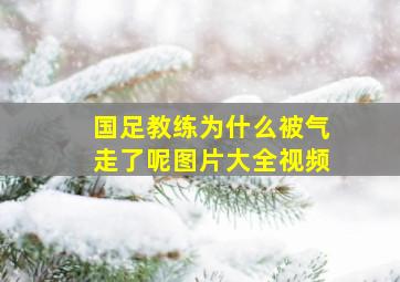 国足教练为什么被气走了呢图片大全视频