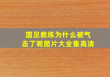 国足教练为什么被气走了呢图片大全集高清