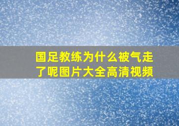 国足教练为什么被气走了呢图片大全高清视频