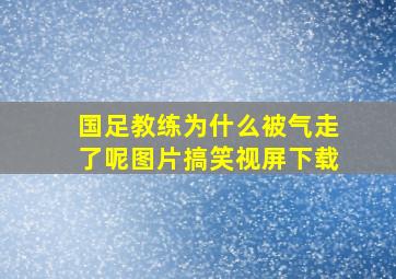 国足教练为什么被气走了呢图片搞笑视屏下载