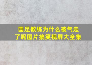 国足教练为什么被气走了呢图片搞笑视屏大全集