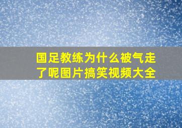 国足教练为什么被气走了呢图片搞笑视频大全