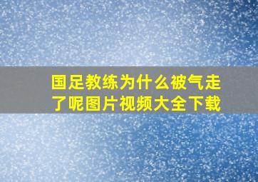 国足教练为什么被气走了呢图片视频大全下载