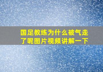 国足教练为什么被气走了呢图片视频讲解一下