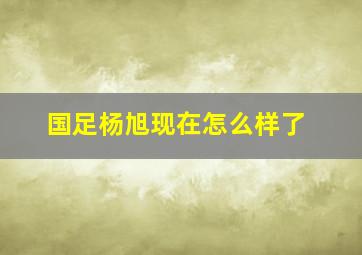 国足杨旭现在怎么样了