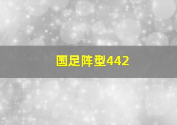 国足阵型442