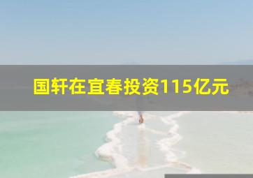 国轩在宜春投资115亿元